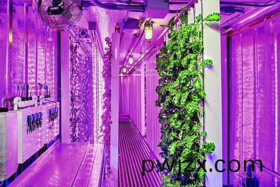 集裝(zhuang)箱辳(nong)場(chang)開(kai)始(shi)火了(le)，特斯拉(la)CEO的(de)弟弟也開始(shi)在(zai)